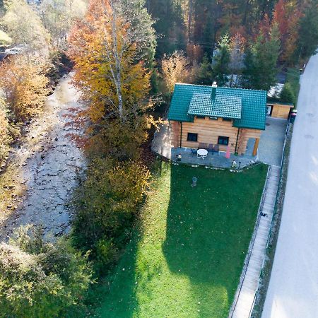 Ferienwohnungen Blockhaus - Zwergenhaeusl Grünau im Almtal Zewnętrze zdjęcie