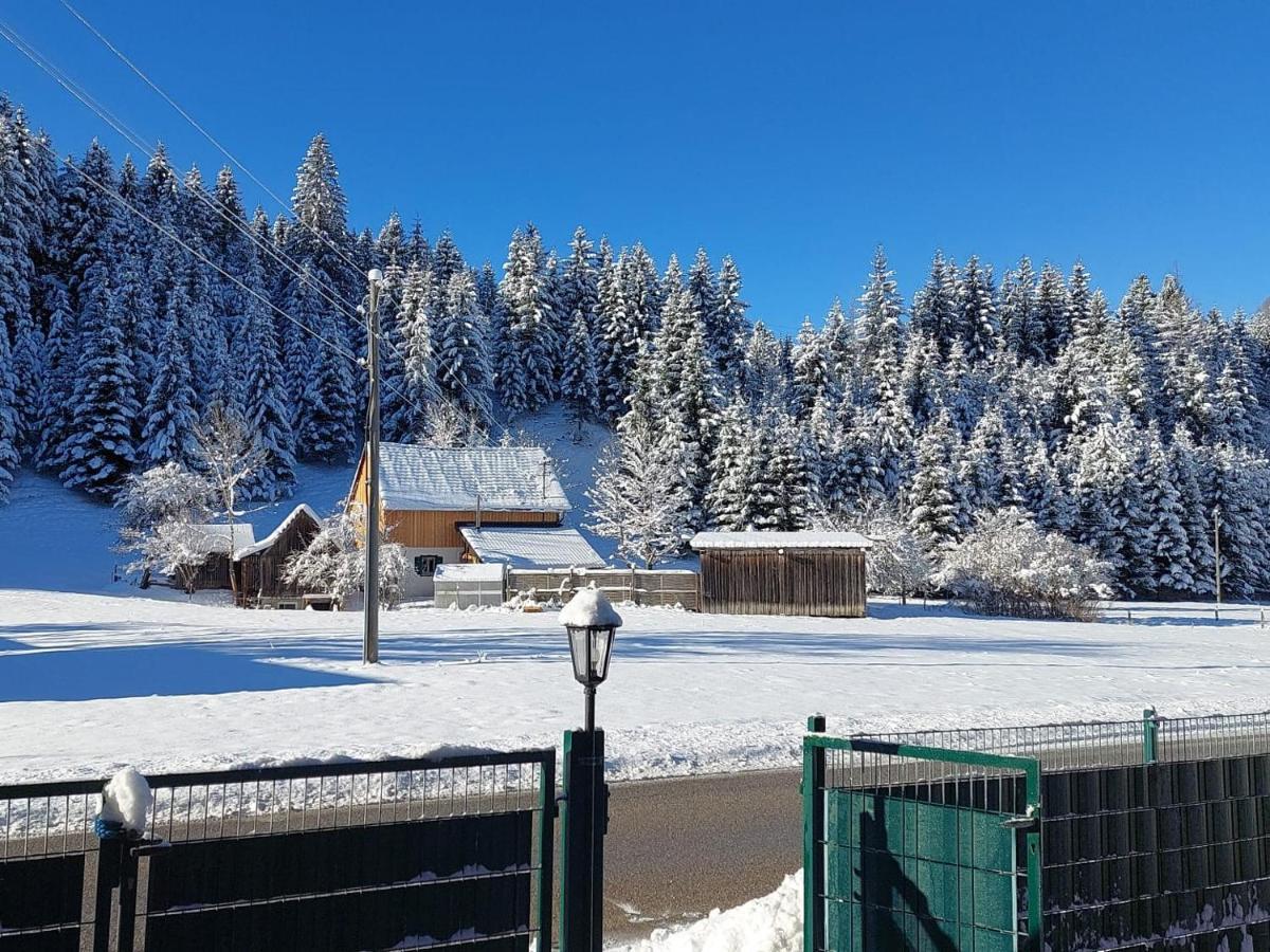 Ferienwohnungen Blockhaus - Zwergenhaeusl Grünau im Almtal Zewnętrze zdjęcie
