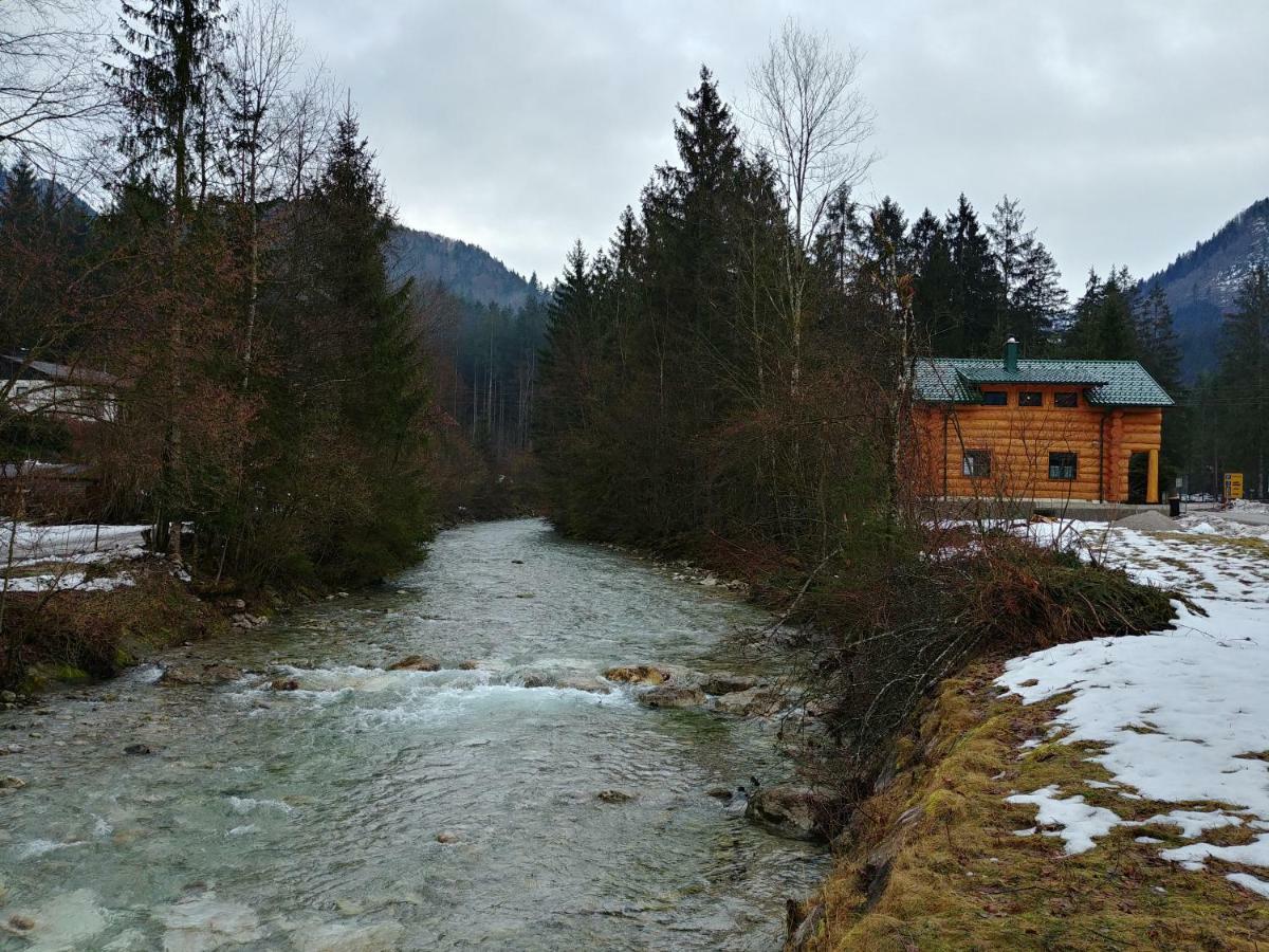 Ferienwohnungen Blockhaus - Zwergenhaeusl Grünau im Almtal Zewnętrze zdjęcie